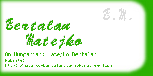 bertalan matejko business card